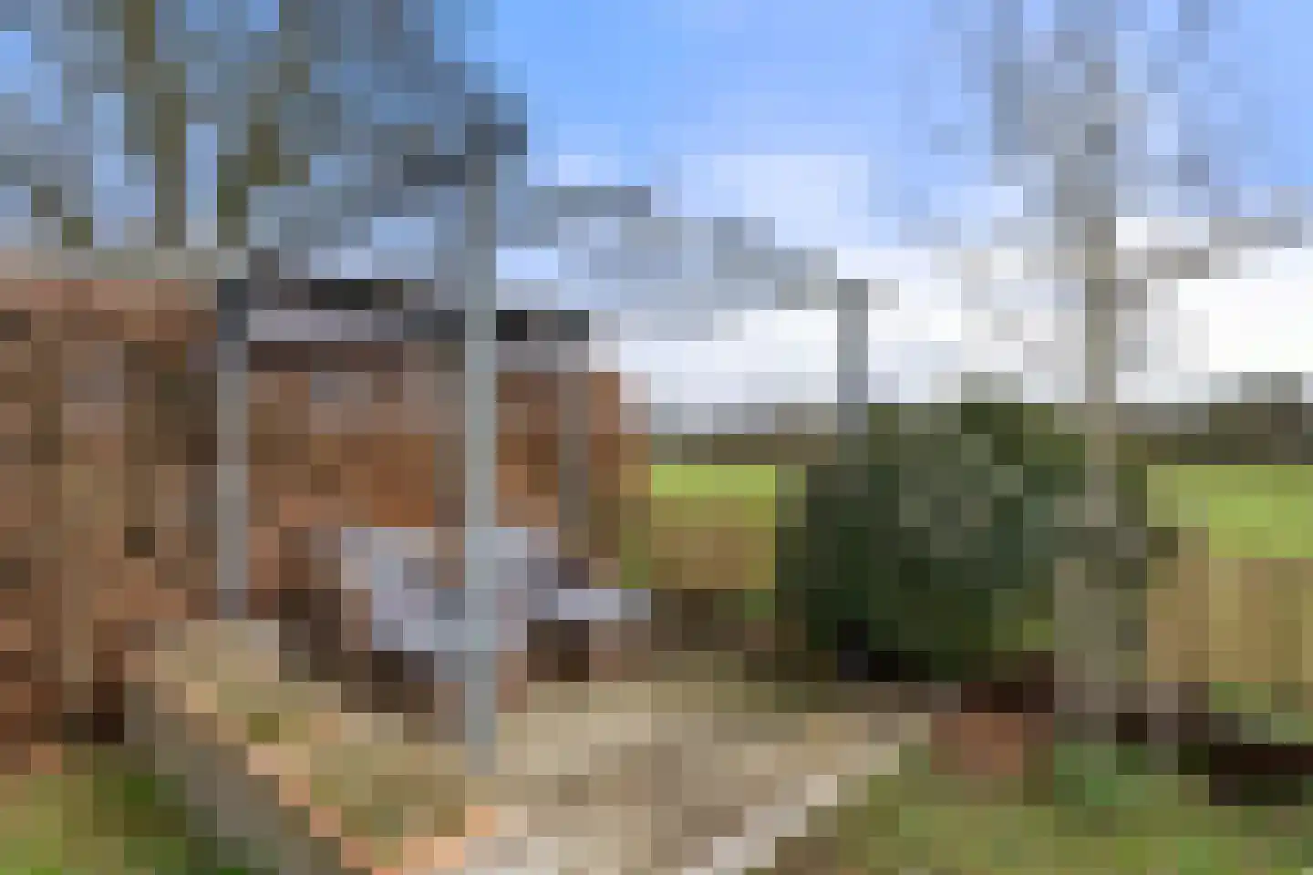 Koeweg 16 3 Otterlo thumbnail 34
