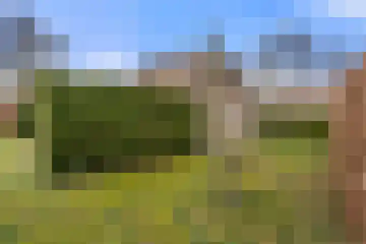 Koeweg 16 3 Otterlo thumbnail 36