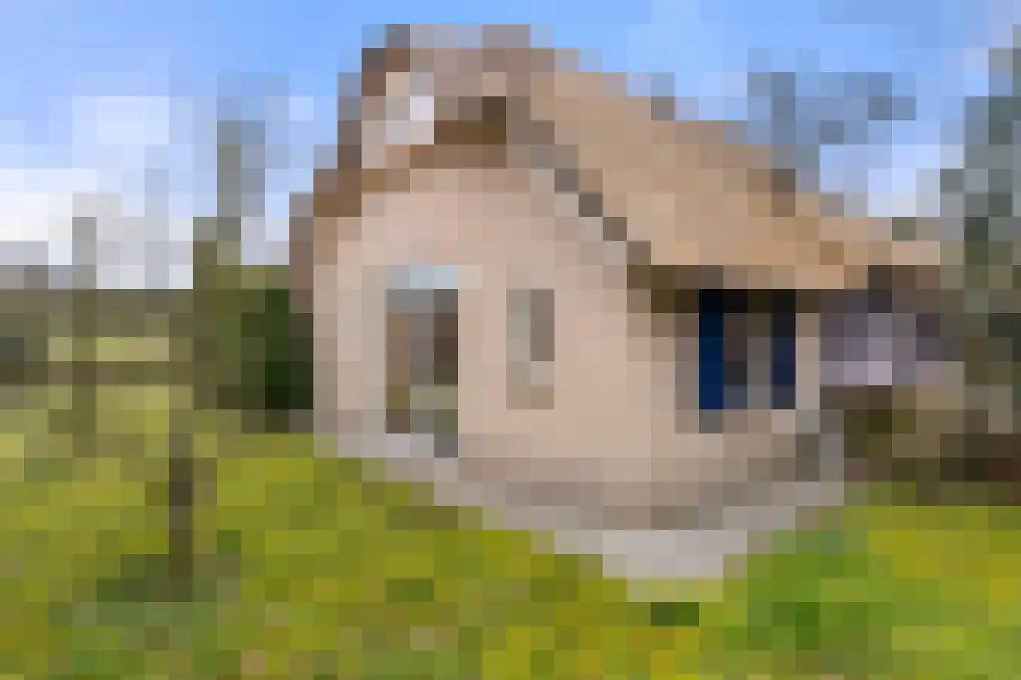 Koeweg 16 3 Otterlo thumbnail 4