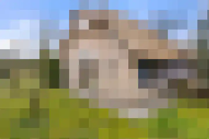 Koeweg 16 3 Otterlo thumbnail 4