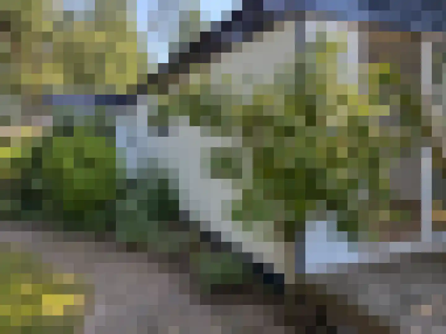 Koeweg 16 45 Otterlo thumbnail 6