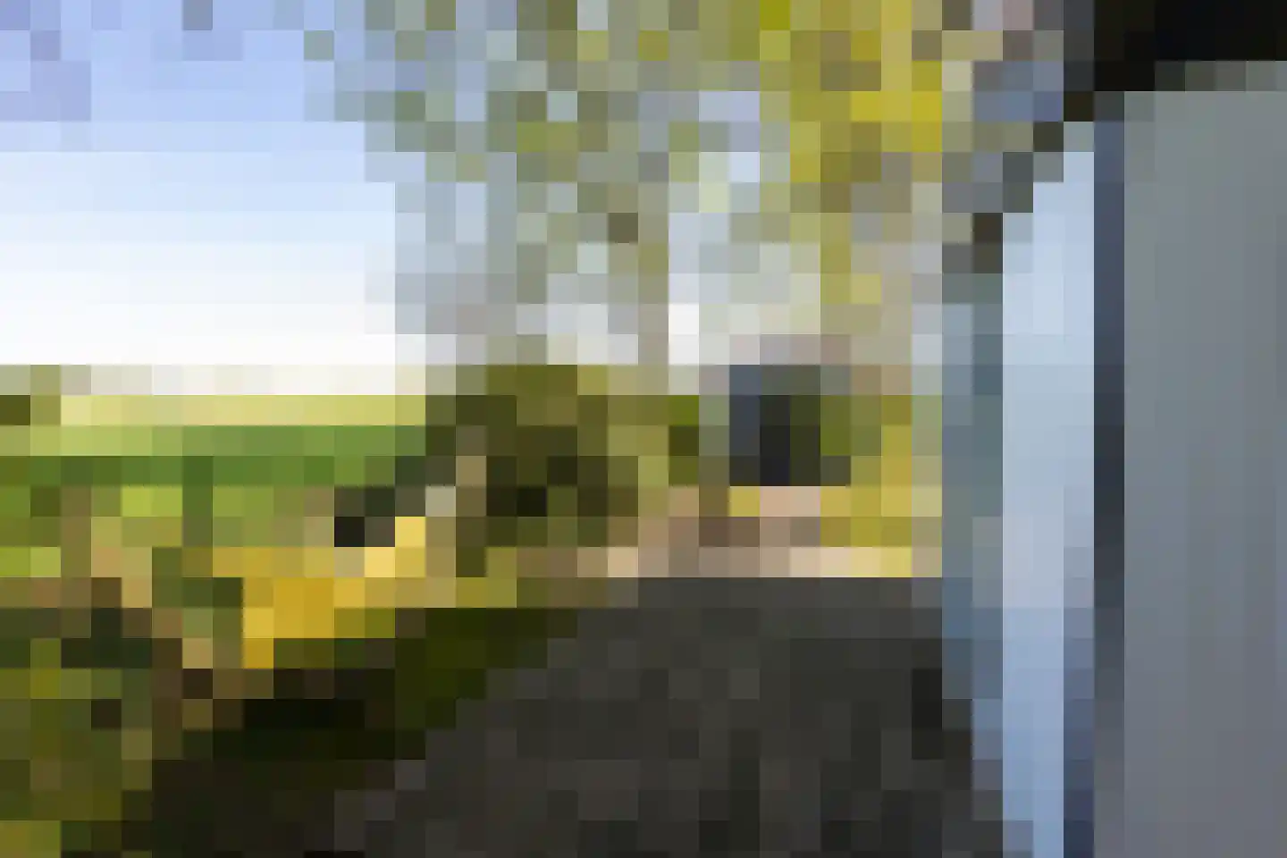 Koeweg 16 7 Otterlo thumbnail 5