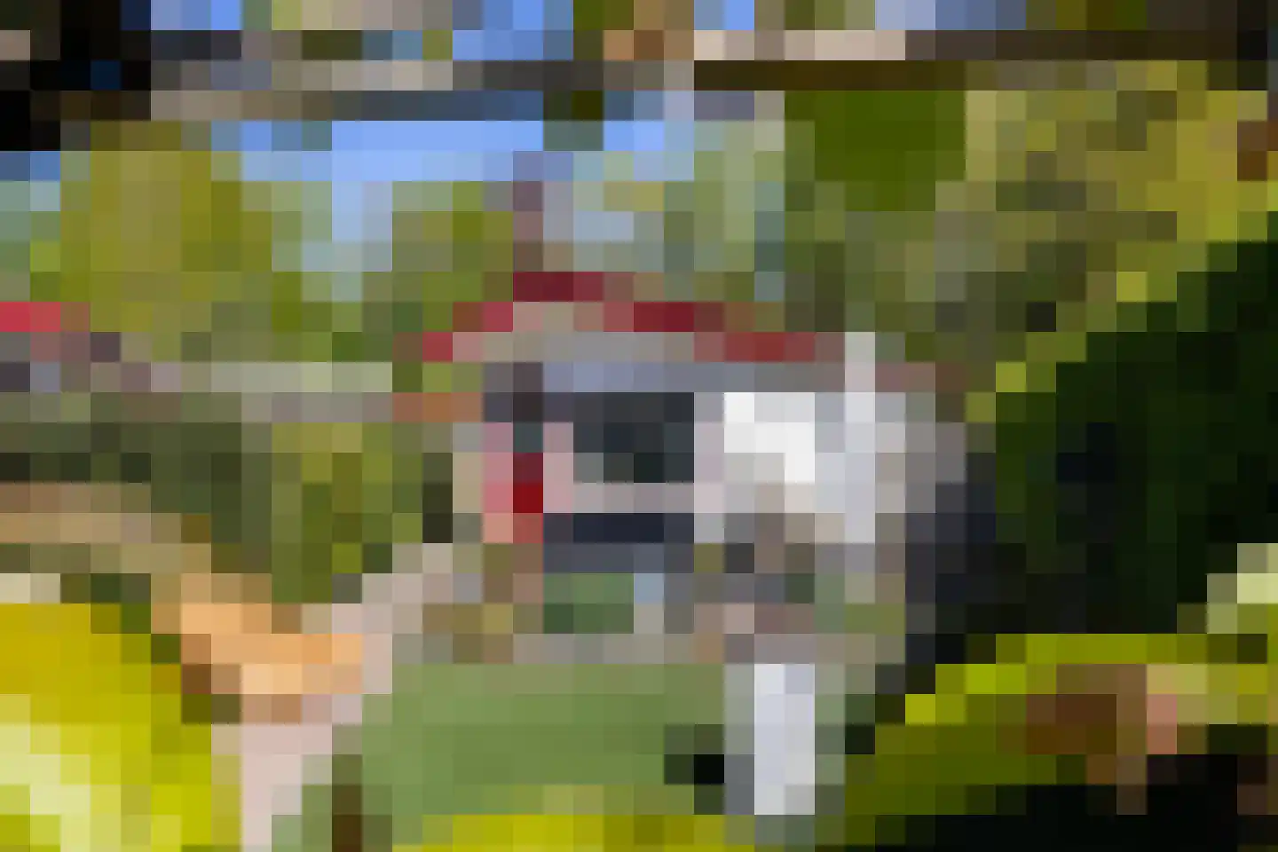 Koeweg 17 010A Epe thumbnail 16