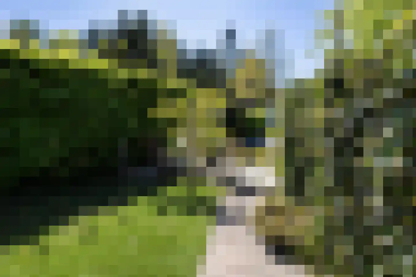 Koeweg 17 010A Epe thumbnail 19
