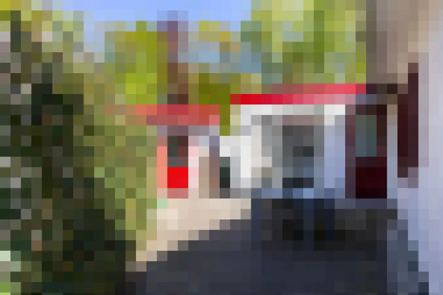 Koeweg 17 010A Epe thumbnail 22