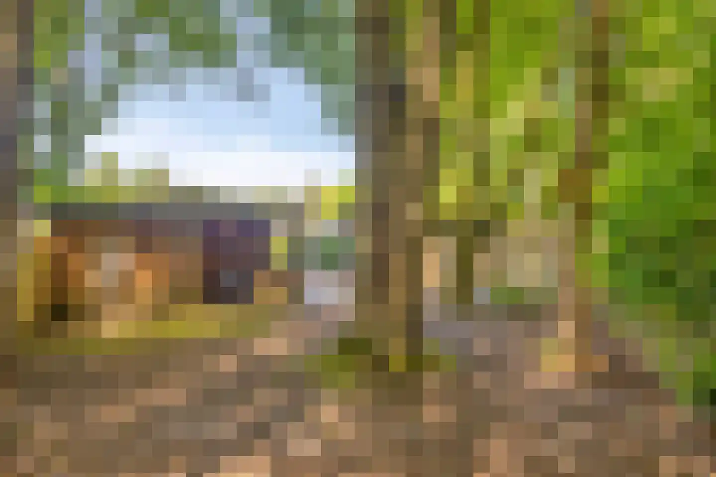 Koeweg 17 010A Epe thumbnail 24