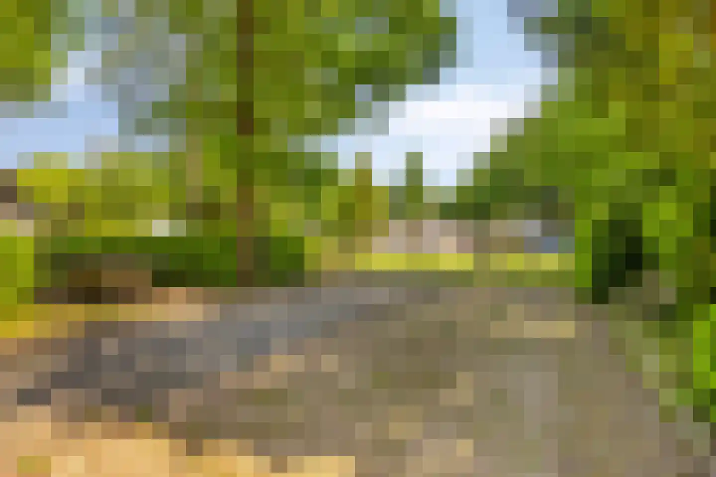 Koeweg 17 010A Epe thumbnail 31