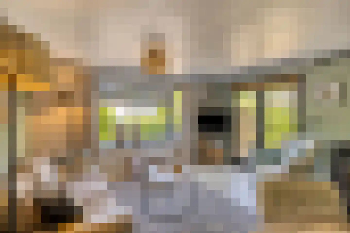 Koeweg 17 010A Epe thumbnail 9