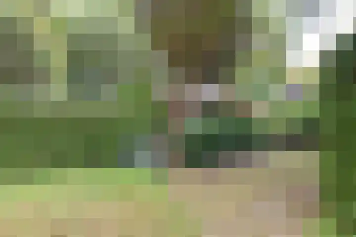 Koeweg 17 10 Epe thumbnail 10