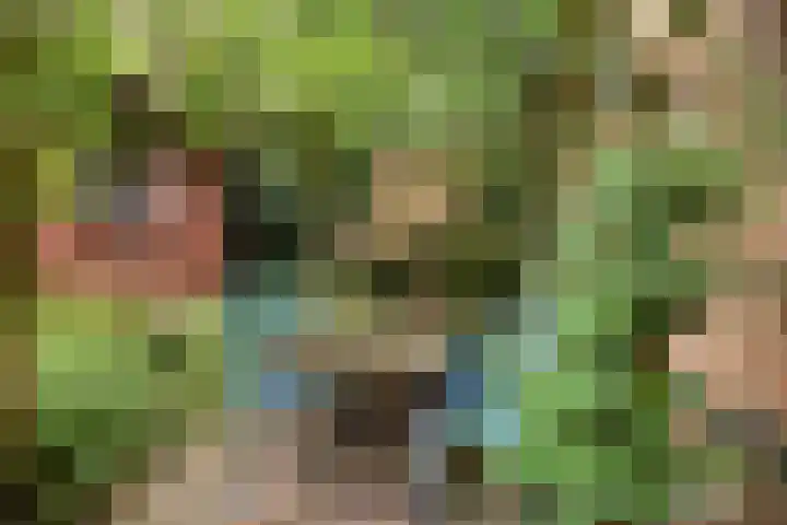 Koeweg 17 10 Epe thumbnail 11