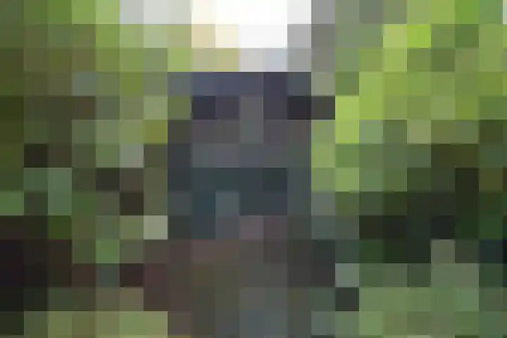 Koeweg 17 10 Epe thumbnail 12