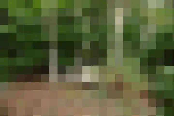 Koeweg 17 10 Epe thumbnail 13