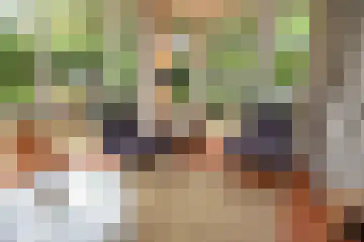 Koeweg 17 10 Epe thumbnail 17