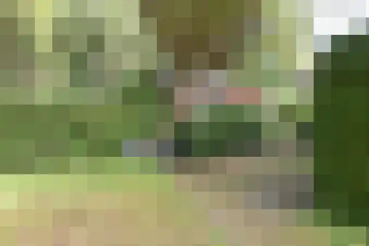Koeweg 17 10 Epe thumbnail 4