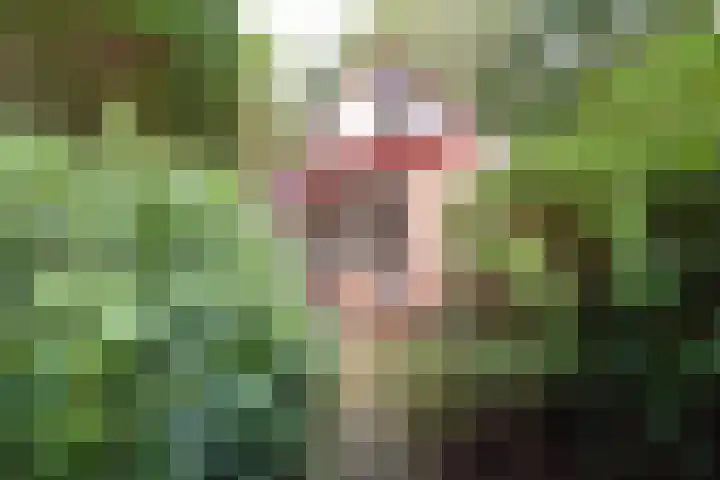 Koeweg 17 10 Epe thumbnail 5
