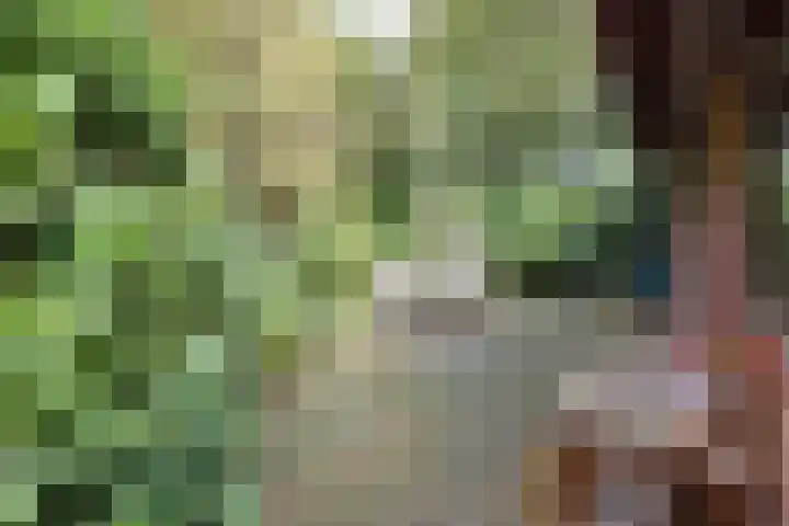 Koeweg 17 10 Epe thumbnail 6