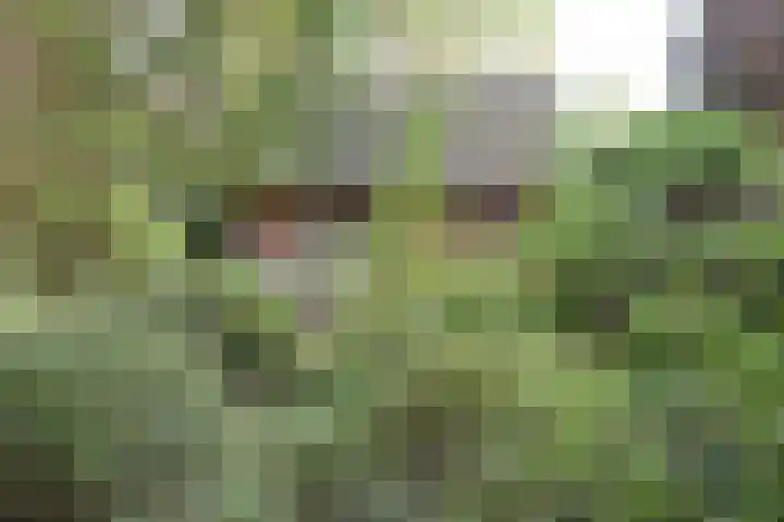 Koeweg 17 10 Epe thumbnail 7