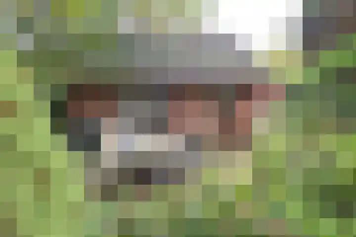 Koeweg 17 10 Epe thumbnail 8