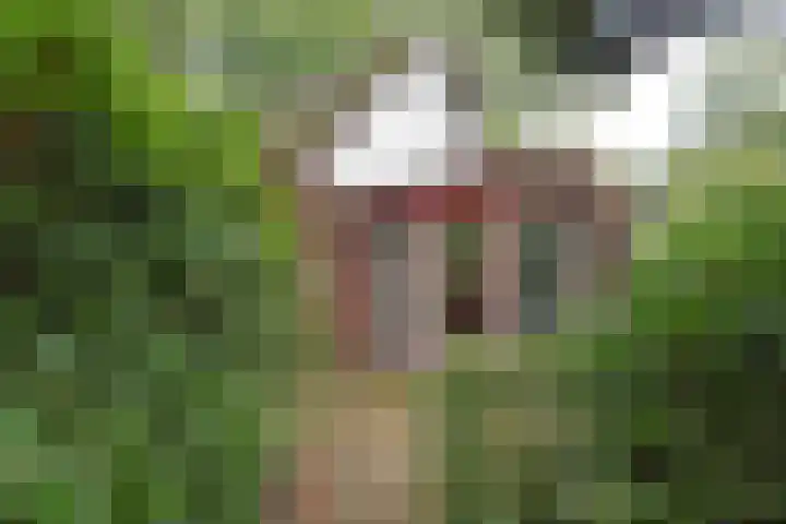Koeweg 17 10 Epe thumbnail 9