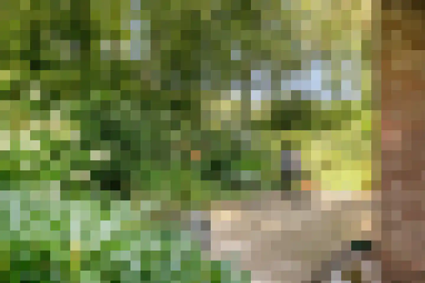 Koeweg 17 14A Epe thumbnail 22