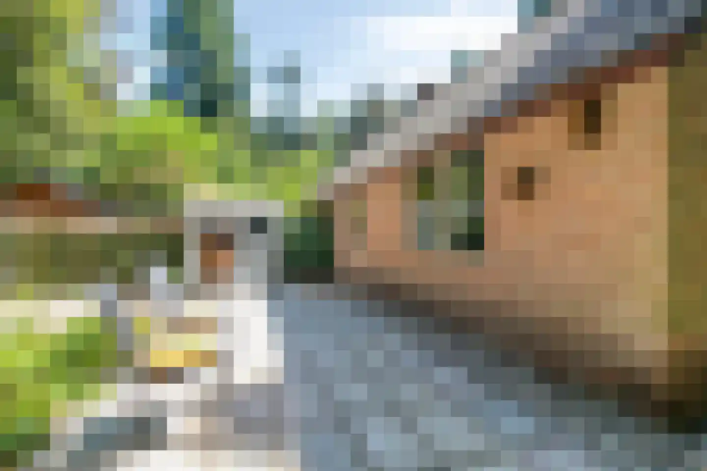 Koeweg 17 14A Epe thumbnail 23