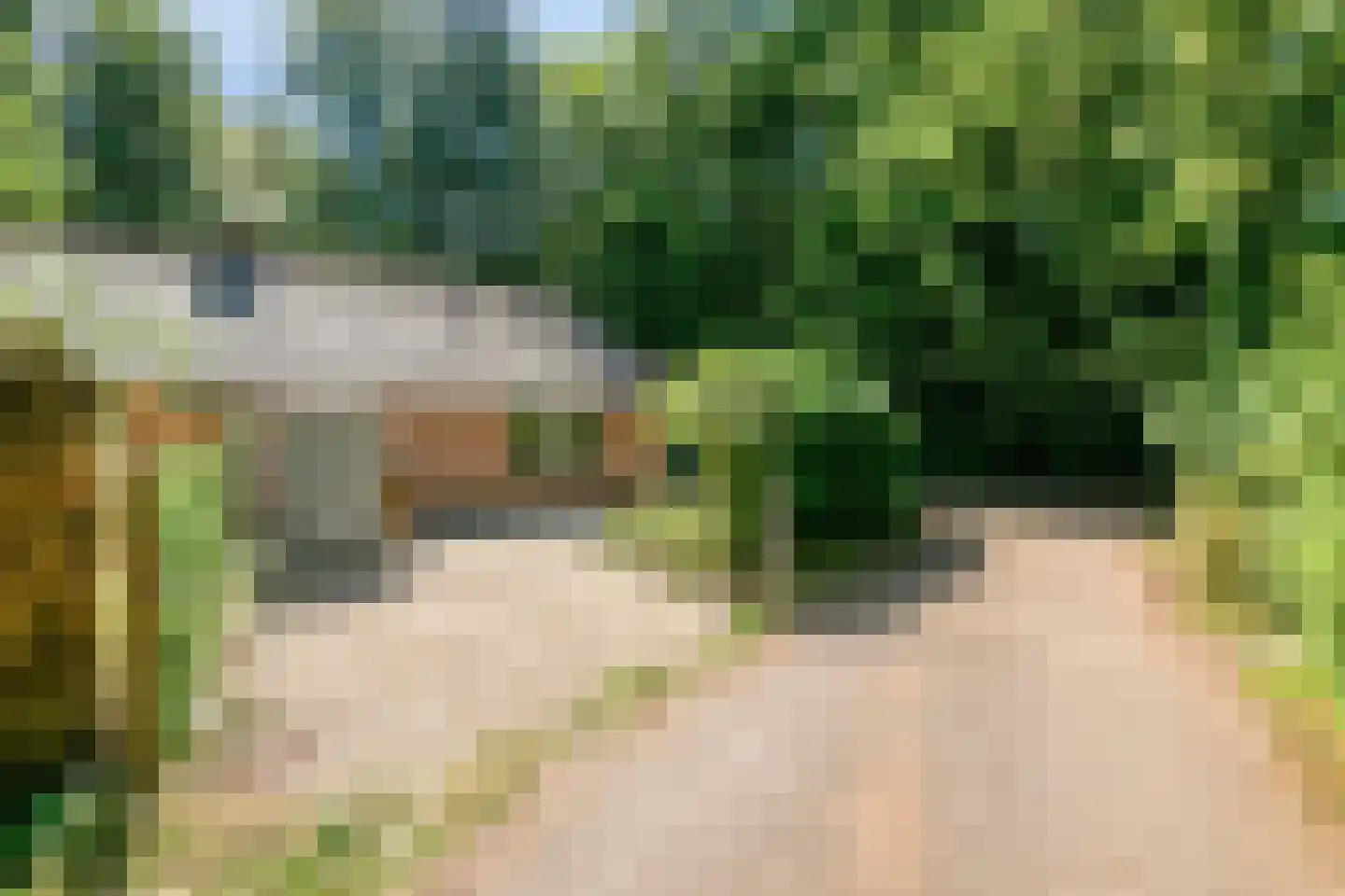 Koeweg 17 14A Epe thumbnail 25
