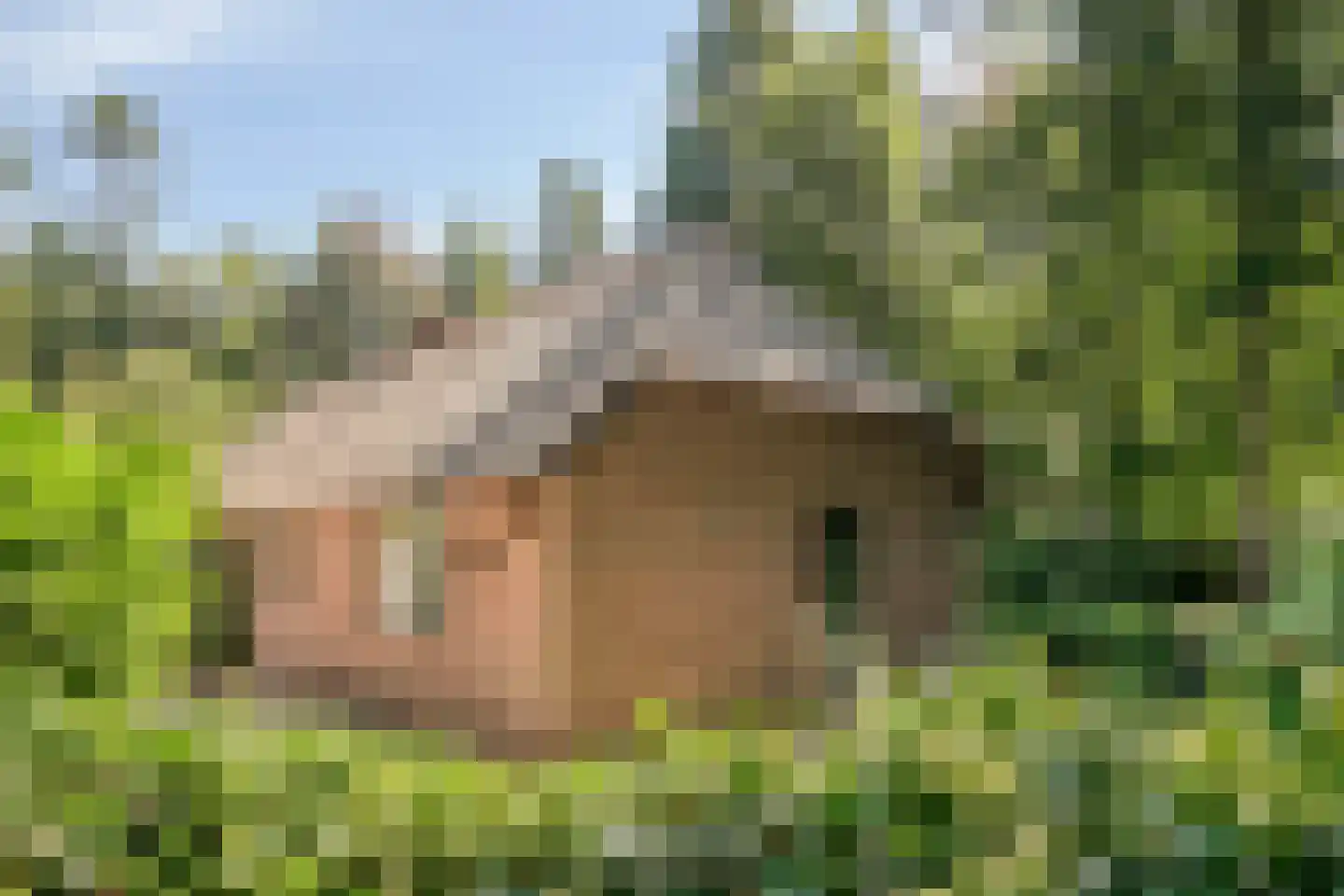 Koeweg 17 14A Epe thumbnail 26