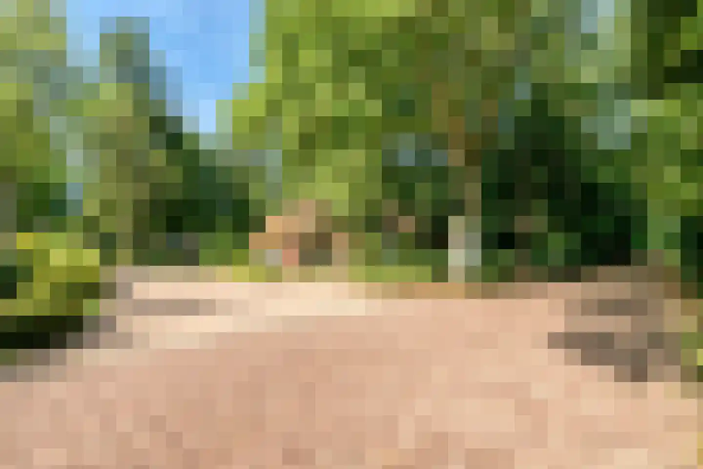 Koeweg 17 14A Epe thumbnail 27