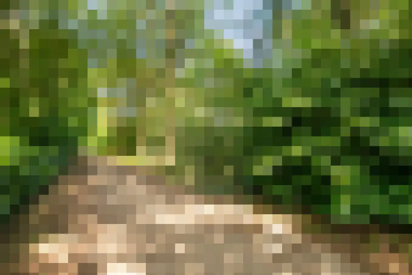 Koeweg 17 14A Epe thumbnail 28