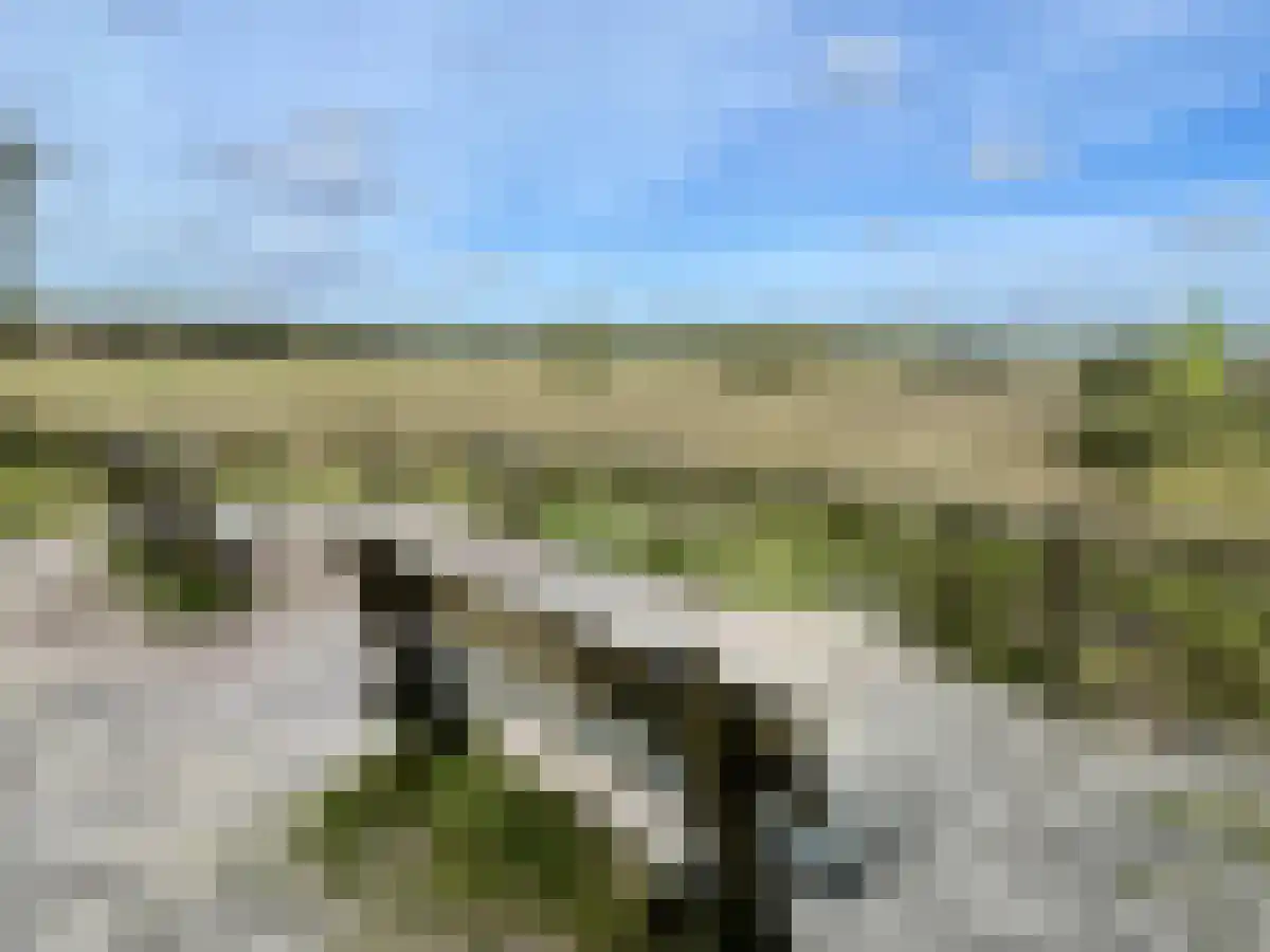 Koeweg 17 14A Epe thumbnail 31