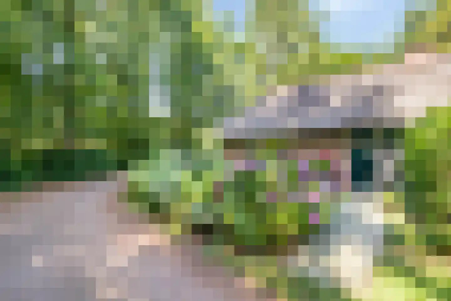 Koeweg 17 14A Epe thumbnail 5