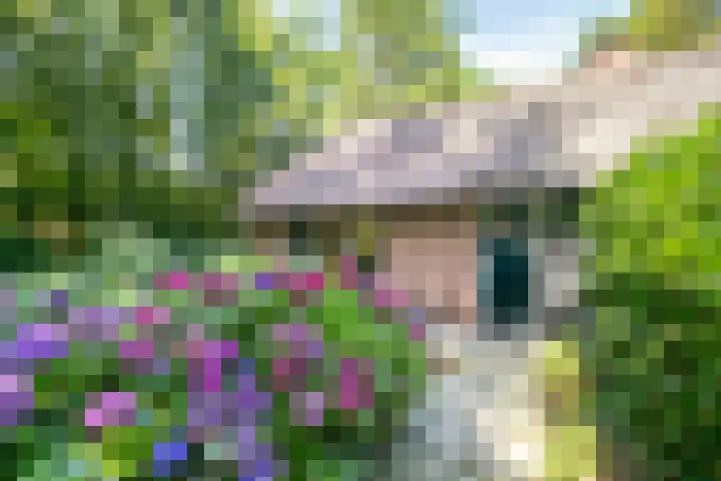Koeweg 17 14A Epe thumbnail 6