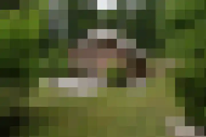 Koeweg 17 14B Epe thumbnail 10