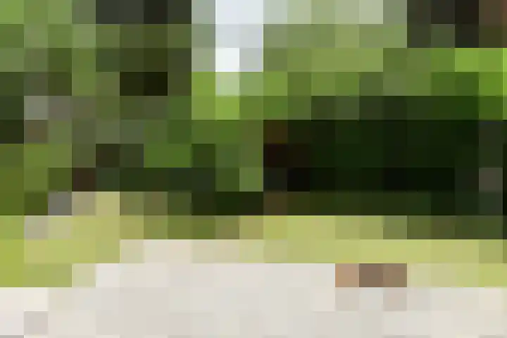 Koeweg 17 14B Epe thumbnail 11