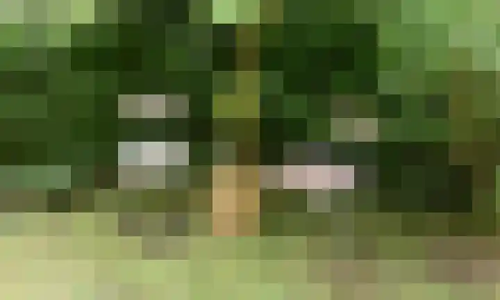 Koeweg 17 14B Epe thumbnail 13
