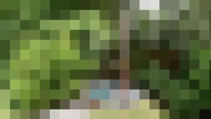 Koeweg 17 14B Epe thumbnail 14