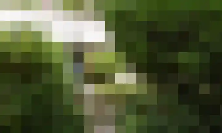 Koeweg 17 14B Epe thumbnail 15