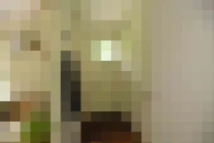 Koeweg 17 14B Epe thumbnail 16