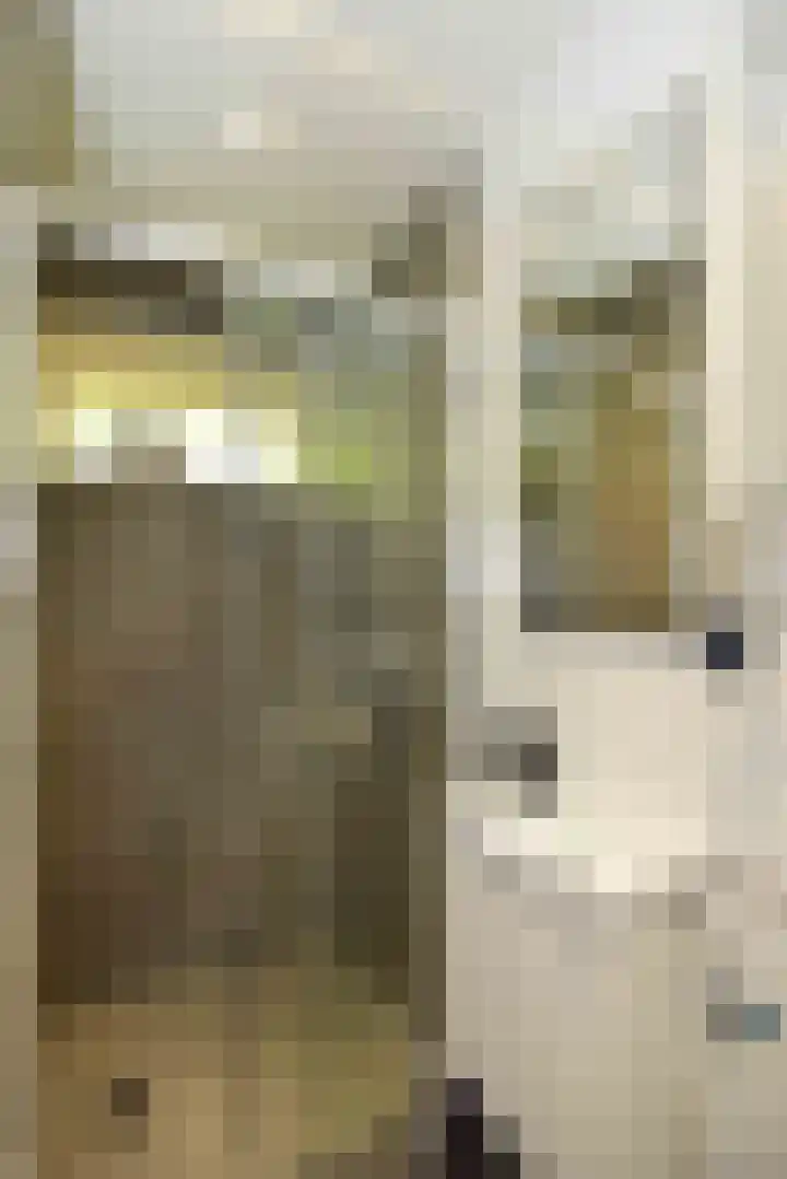Koeweg 17 14B Epe thumbnail 18