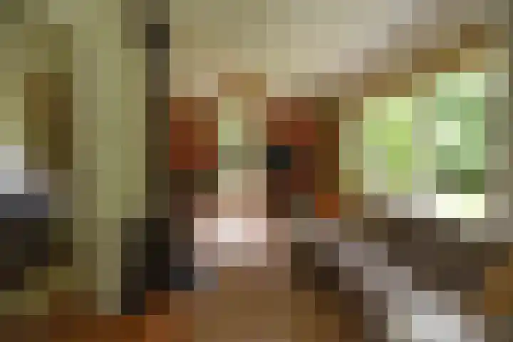 Koeweg 17 14B Epe thumbnail 19
