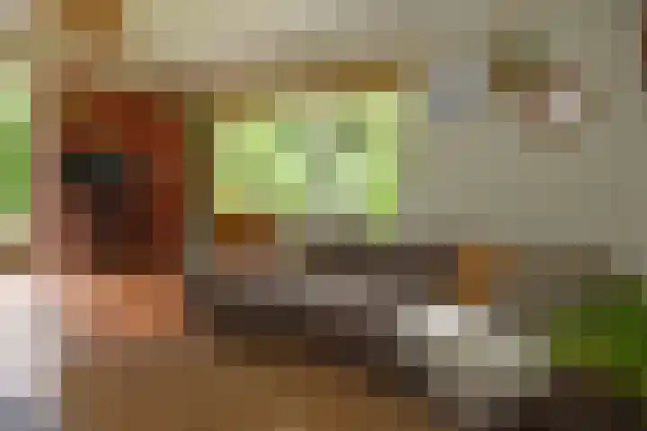 Koeweg 17 14B Epe thumbnail 20