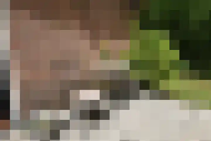 Koeweg 17 14B Epe thumbnail 31