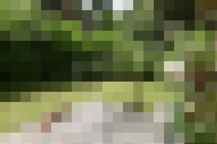 Koeweg 17 14B Epe thumbnail 32