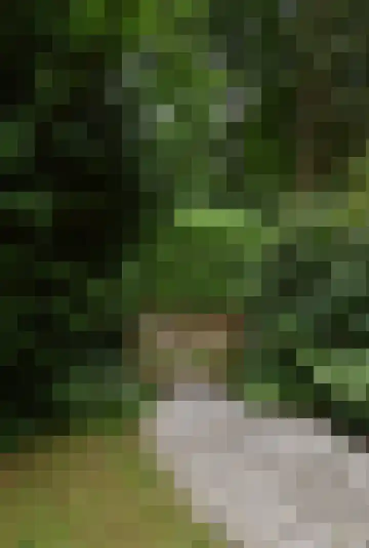 Koeweg 17 14B Epe thumbnail 33