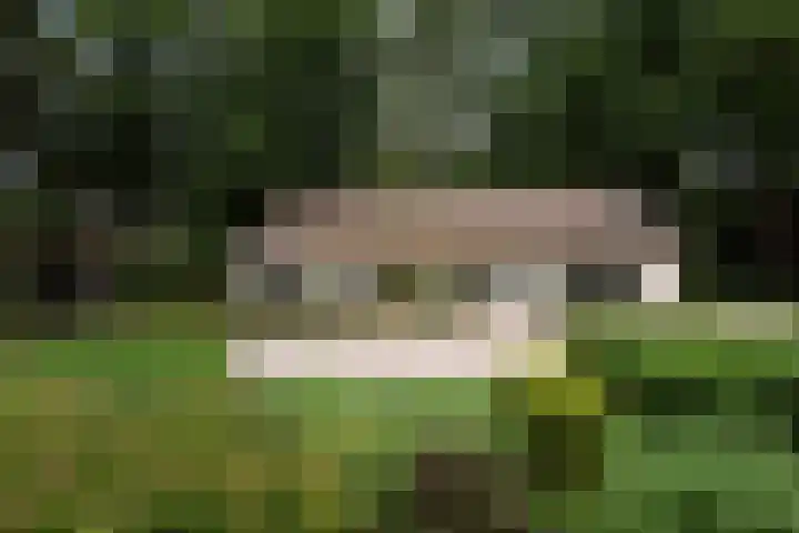 Koeweg 17 14B Epe thumbnail 35