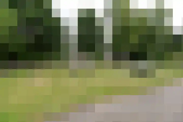 Koeweg 17 14B Epe thumbnail 37