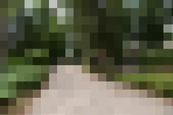 Koeweg 17 14B Epe thumbnail 38