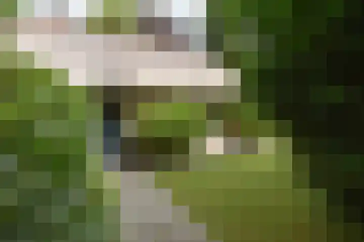 Koeweg 17 14B Epe thumbnail 4