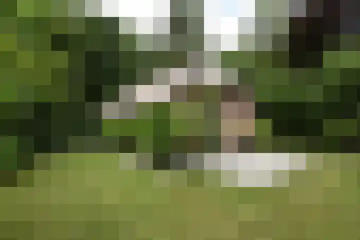 Koeweg 17 14B Epe thumbnail 5