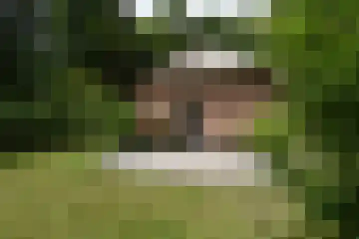 Koeweg 17 14B Epe thumbnail 6